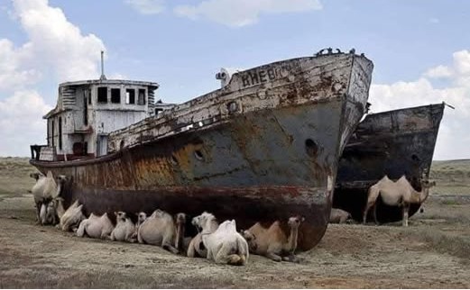 From Tragedy to Transformation: How AI and Conscious Habits Can Revolutionize Fashion's Environmental Impact - AI Supply Chain Optimization